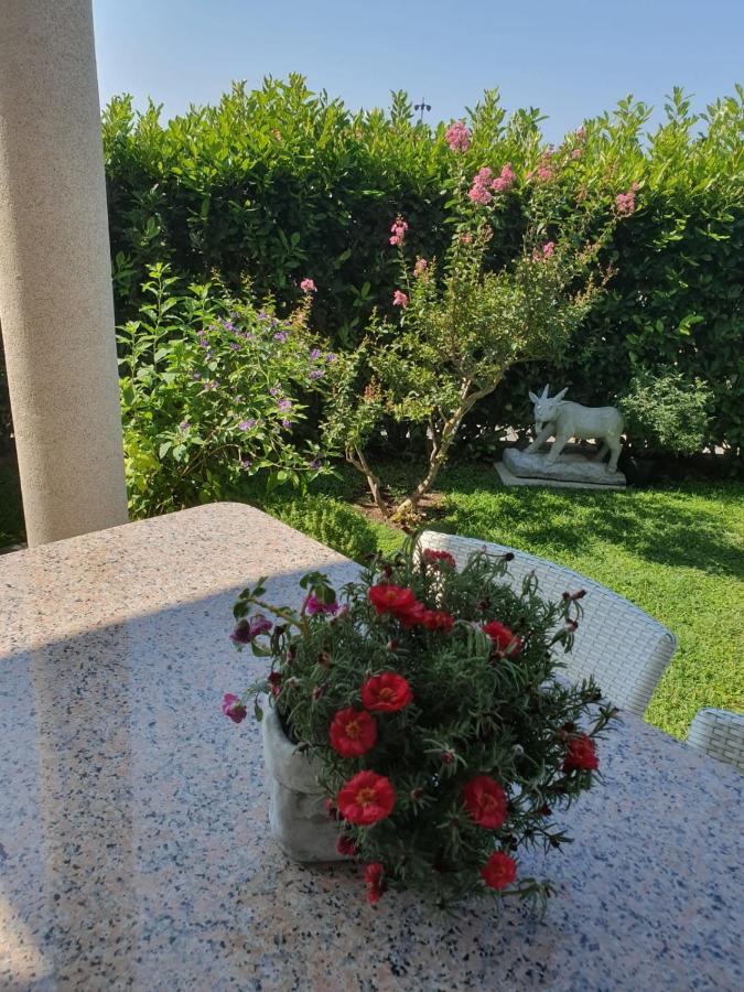 Villa Maric Baška Voda Екстериор снимка